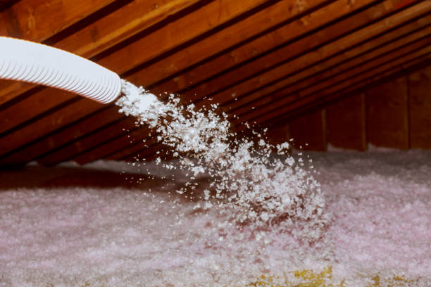 Best Insulation Contractor Near Me  in Braska City, NE