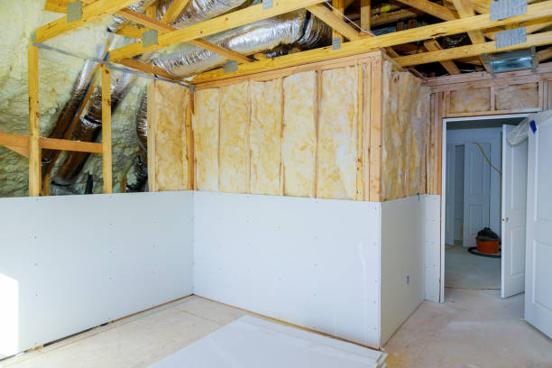 Best Commercial Insulation Contractor  in Braska City, NE