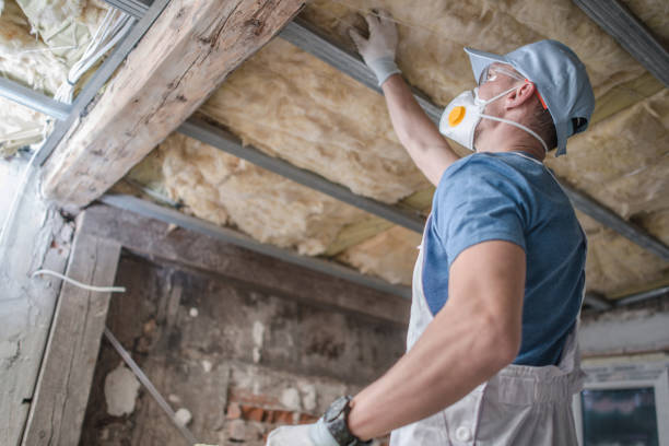 Best Insulation Inspection Services  in Braska City, NE
