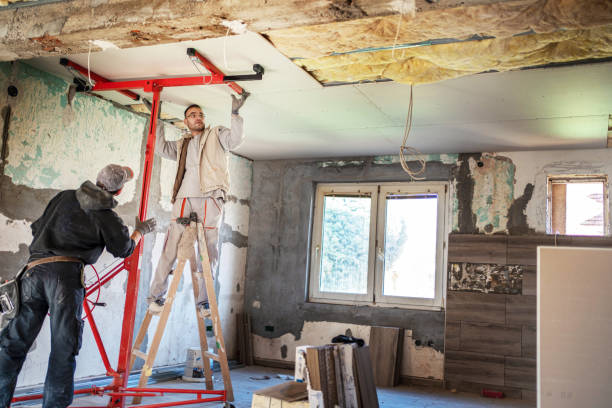 Best Insulation for New Construction  in Braska City, NE