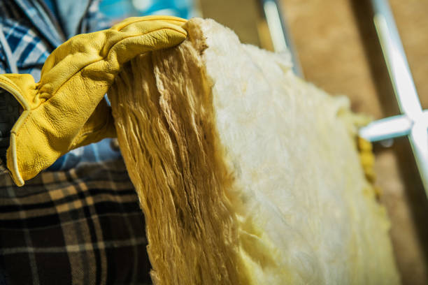Best Spray Foam Insulation  in Braska City, NE