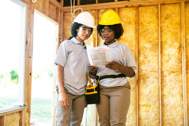 Best Attic Insulation Installation  in Braska City, NE
