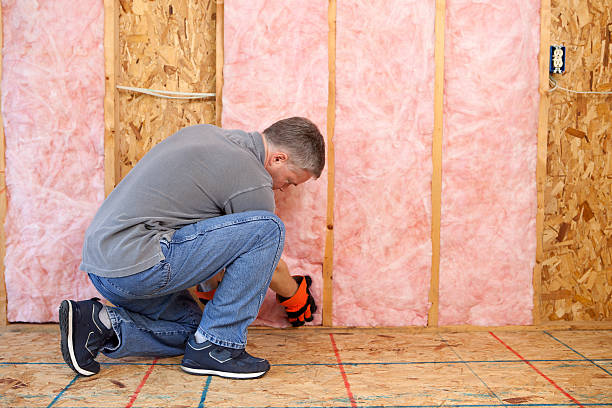 Best Local Insulation Services  in Braska City, NE