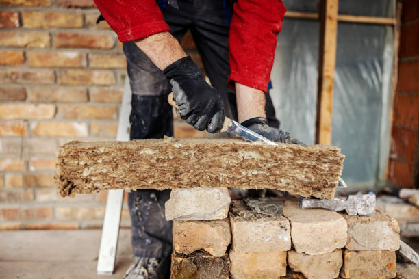 Best Garage Insulation Installation  in Braska City, NE