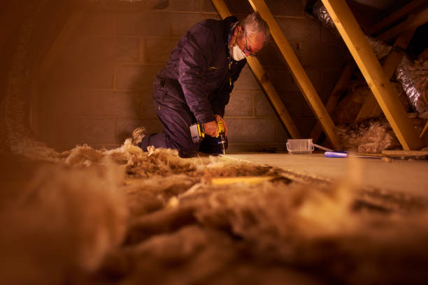 Best Home Insulation Services  in Braska City, NE